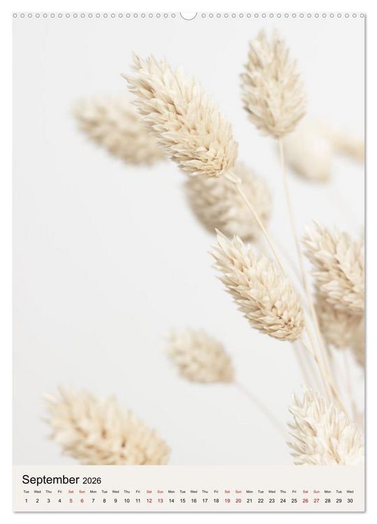 Produktbild: Dried Flowers (Wall Calendar 2026 DIN A2 portrait), CALVENDO 12 Month Wall Calendar