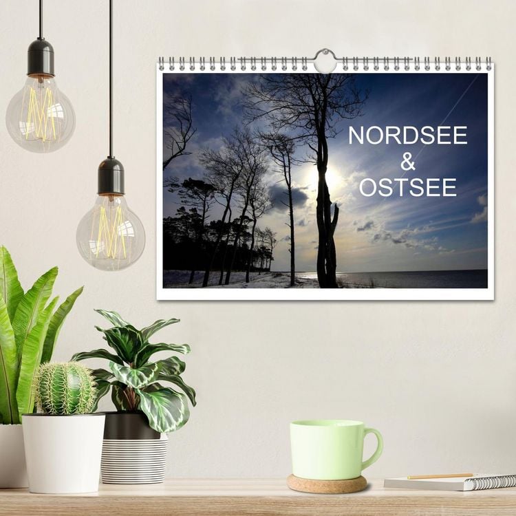 Produktbild: Nordsee & Ostsee (Wandkalender 2026 DIN A4 quer), CALVENDO Monatskalender