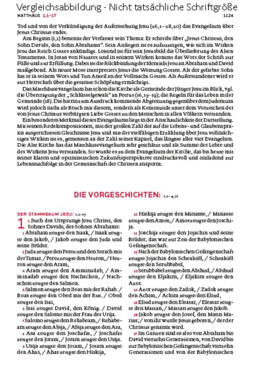 Produktbild: Die Bibel. Mit Sonderseiten für junge Menschen.