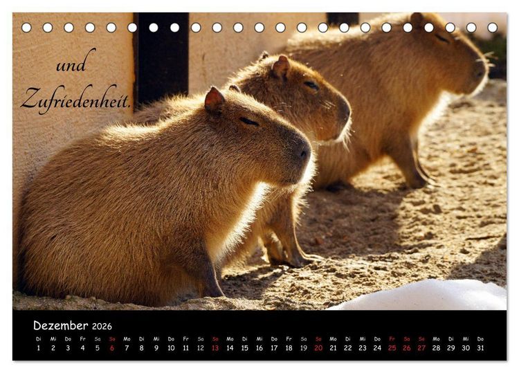 Produktbild: Gut gelaunt durch's Rentenjahr (Tischkalender 2026 DIN A5 quer), CALVENDO Monatskalender