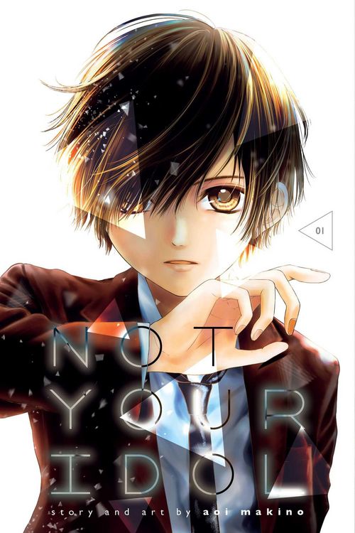 Produktbild: Not Your Idol, Vol. 1
