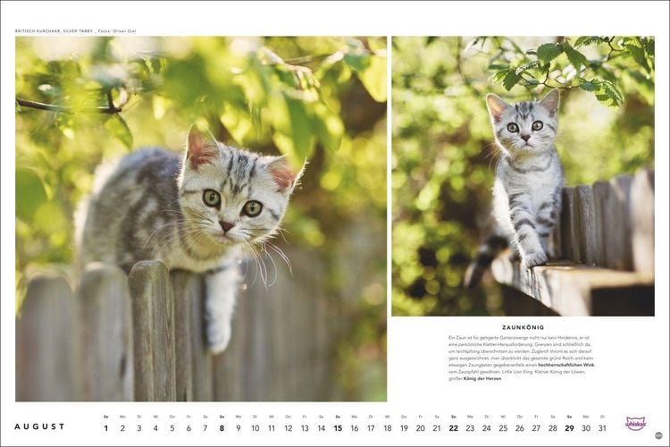Produktbild: Whiskas Katzenkalender 2027