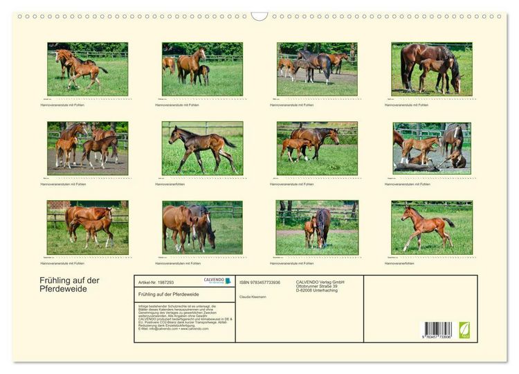 Produktbild: Fr&uuml;hling auf der Pferdeweide (Wandkalender 2026 DIN A2 quer), CALVENDO Monatskalender