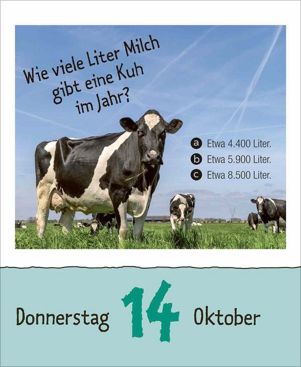 Produktbild: Wie faul ist das Faultier? 2027