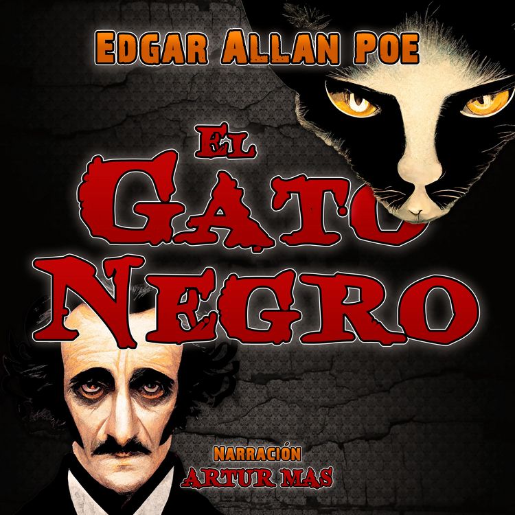 Produktbild: El Gato Negro