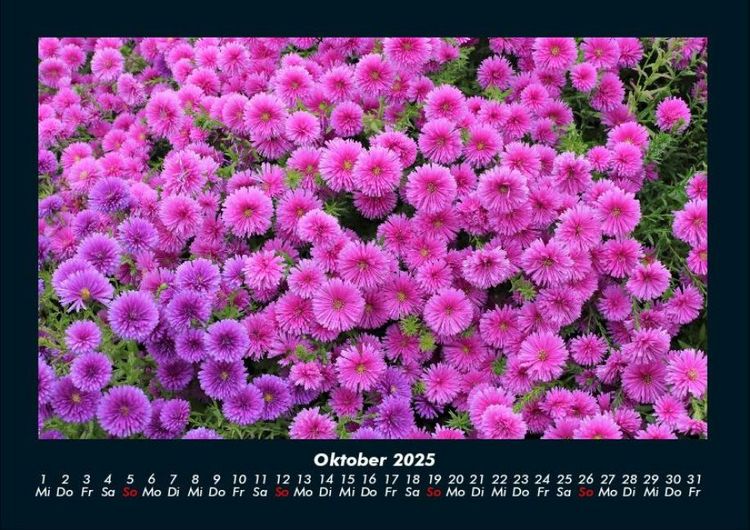 Produktbild: Blumentr&auml;ume 2025 Fotokalender DIN A4
