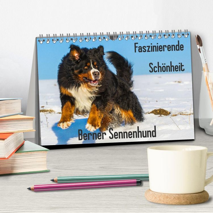Produktbild: Faszinierende Sch&ouml;nheit Berner Sennenhund (Tischkalender 2026 DIN A5 quer), CALVENDO Monatskalender
