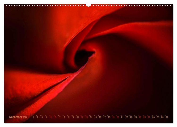 Produktbild: DEEP INSIDE - Bl&uuml;tenmakros (hochwertiger Premium Wandkalender 2026 DIN A2 quer), Kunstdruck in Hochglanz