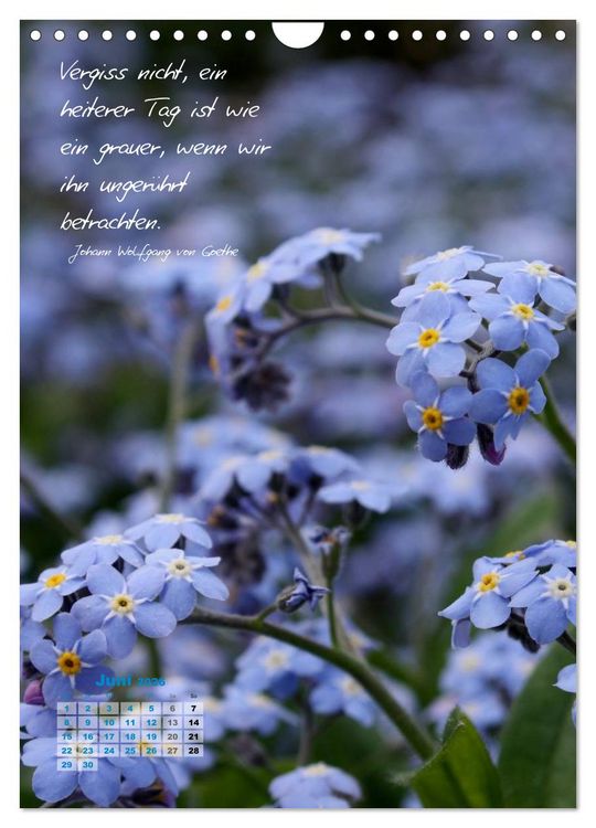 Produktbild: Blumen & Zitate (Wandkalender 2026 DIN A4 hoch), CALVENDO Monatskalender