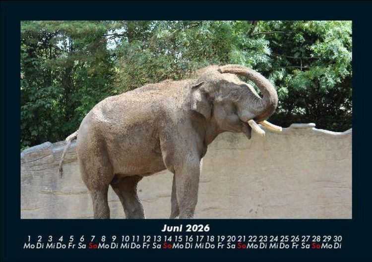 Produktbild: Der Tierkalender 2026 Fotokalender DIN A5