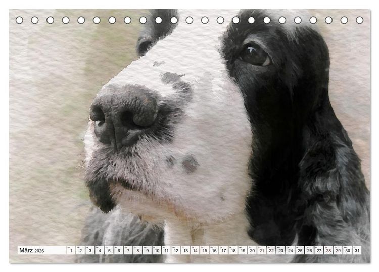 Produktbild: Niedliche Hunde - Digitale Aquarelle (Tischkalender 2026 DIN A5 quer), CALVENDO Monatskalender
