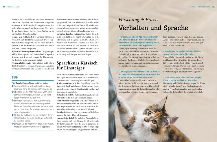 Produktbild: Praxishandbuch Katzen
