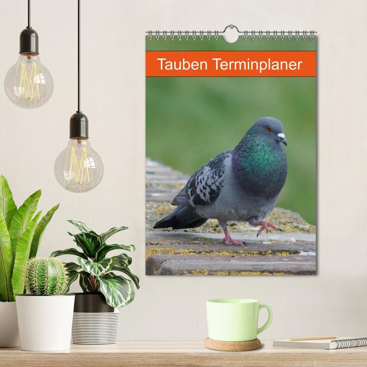 Produktbild: Tauben Terminplaner (Wandkalender 2026 DIN A4 hoch), CALVENDO Monatskalender