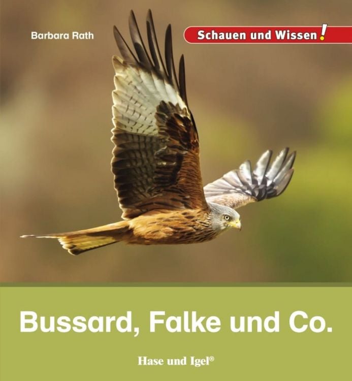 Produktbild: Bussard, Falke und Co.