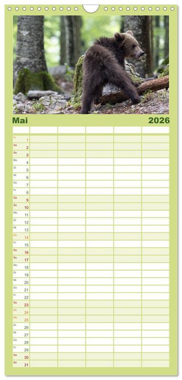 Produktbild: Familienplaner 2026 - Lautlos in den W&auml;ldern Sloweniens mit 5 Spalten (Wandkalender, 21 x 45 cm) CALVENDO