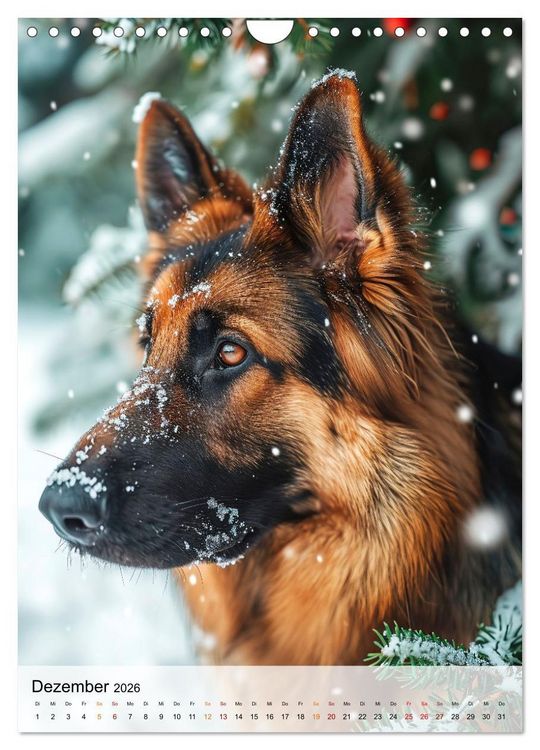 Produktbild: Deutscher Sch&auml;ferhund - mutig und zuverl&auml;ssig (Wandkalender 2026 DIN A4 hoch), CALVENDO Monatskalender