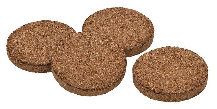 Produktbild: Krabbelk&auml;fer Mein gr. Blumenkoffer-Gartenset