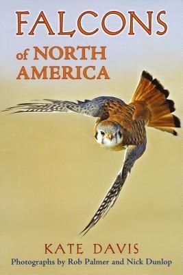 Produktbild: Falcons of North America