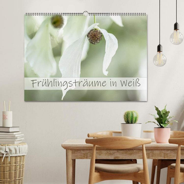 Produktbild: Fr&uuml;hlingstr&auml;ume in Wei&szlig; (Wandkalender 2026 DIN A2 quer), CALVENDO Monatskalender