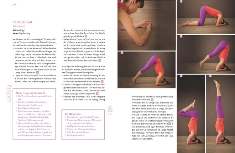 Produktbild: Yoga! Die besten &Uuml;bungen