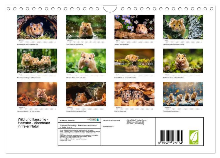 Produktbild: Wild und flauschig - Hamster - Abenteuer in freier Natur (Wandkalender 2026 DIN A4 quer), CALVENDO Monatskalender