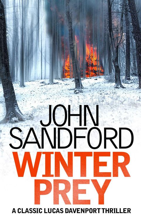 Produktbild: Winter Prey