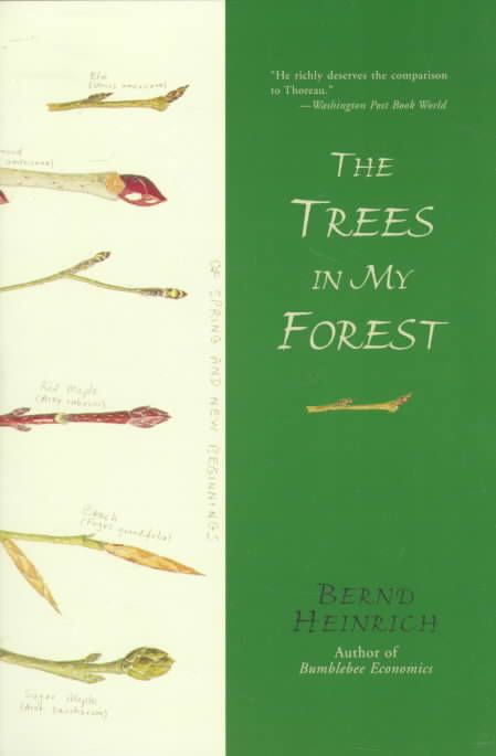 Produktbild: Trees in My Forest, The