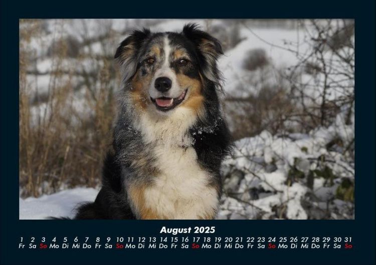 Produktbild: Winterzauber 2025 Fotokalender DIN A4