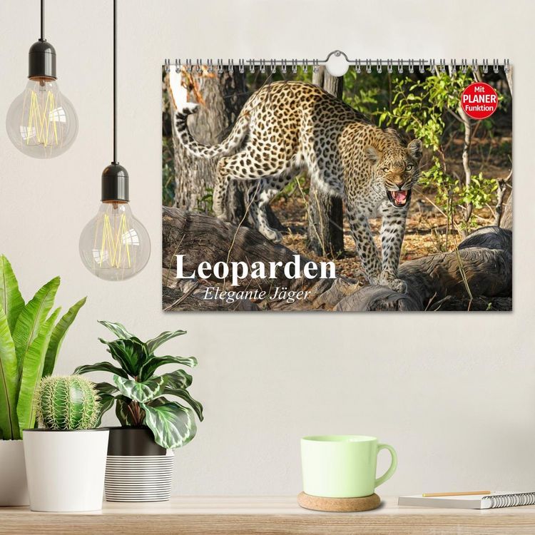 Produktbild: Leoparden. Elegante J&auml;ger (Wandkalender 2026 DIN A4 quer), CALVENDO Monatskalender