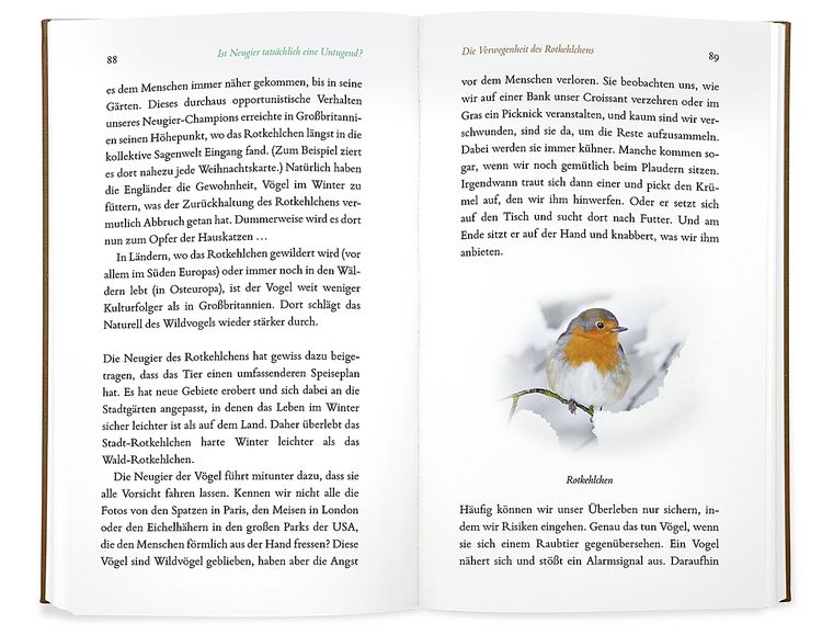 Produktbild: Kleine Philosophie der V&ouml;gel
