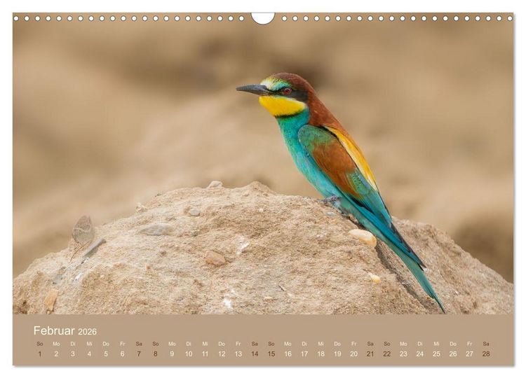 Produktbild: Jenseits der Z&auml;une (Wandkalender 2026 DIN A3 quer), CALVENDO Monatskalender
