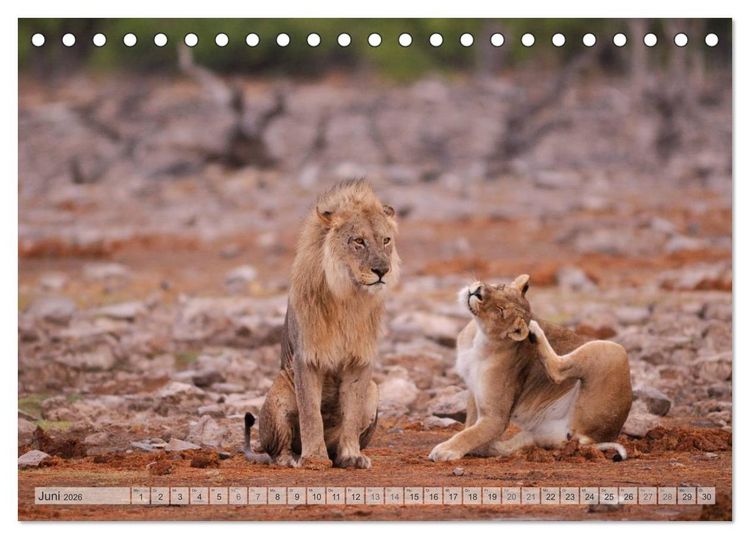 Produktbild: NAMIBIA Christian Heeb (Tischkalender 2026 DIN A5 quer), CALVENDO Monatskalender