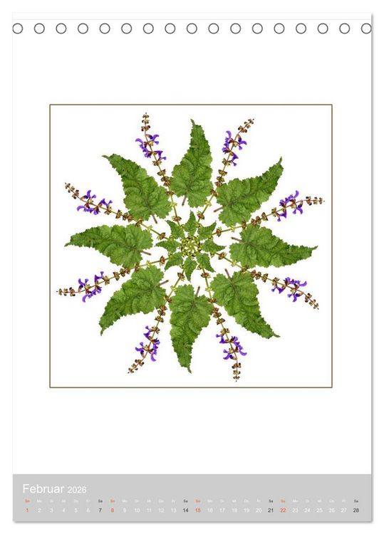 Produktbild: Pflanzen - Mandalas aus Bl&uuml;ten und Bl&auml;ttern (Tischkalender 2026 DIN A5 hoch), CALVENDO Monatskalender