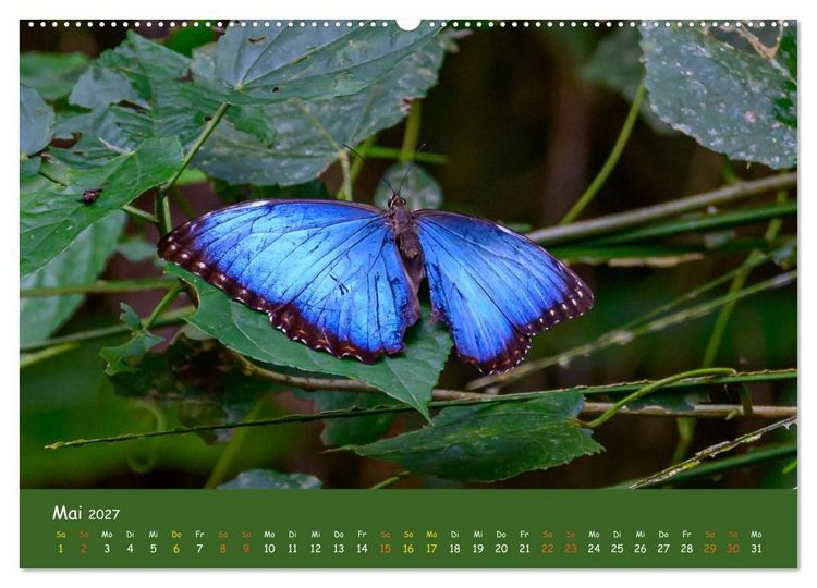 Produktbild: Costa Rica - Naturparadies zwischen Karibik und Pazifik (Wandkalender 2027 DIN A2 quer), CALVENDO Monatskalender