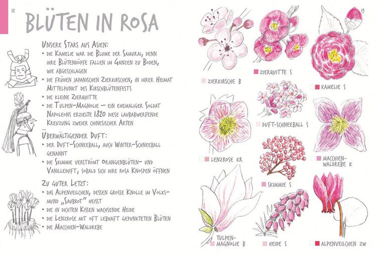 Produktbild: Ich sehe was, was ich nicht kenn&acute;
