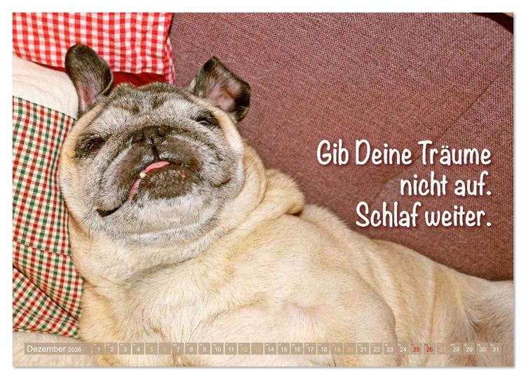 Produktbild: L&auml;cheln mit Mops (Wandkalender 2026 DIN A4 quer), CALVENDO Monatskalender