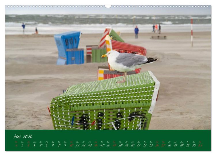 Produktbild: Strandk&ouml;rbe &ndash; bunte Vielfalt an der Nordsee (Wandkalender 2026 DIN A2 quer), CALVENDO Monatskalender