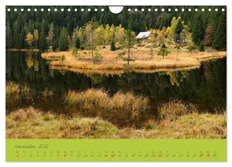 Produktbild: Der Bayerische Wald (Wandkalender 2026 DIN A4 quer), CALVENDO Monatskalender