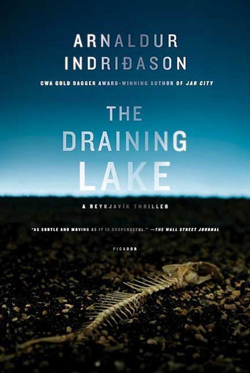 Produktbild: The Draining Lake