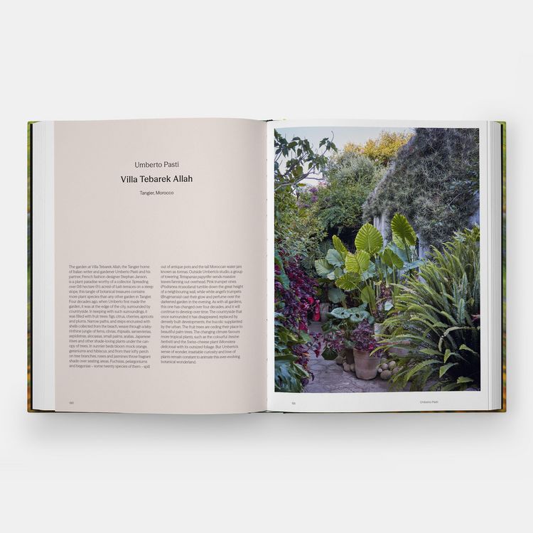 Produktbild: Into the Garden