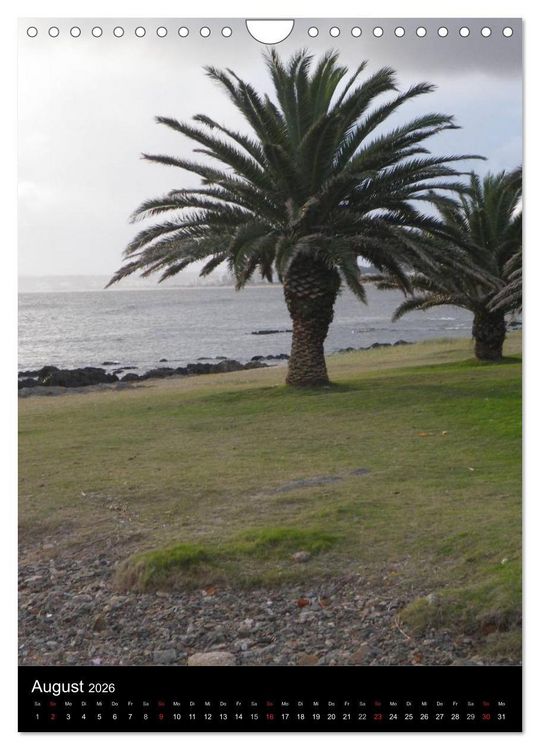 Produktbild: Winter in Montevideo (Wandkalender 2026 DIN A4 hoch), CALVENDO Monatskalender