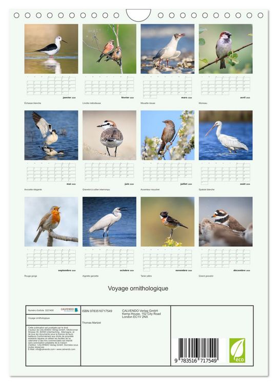 Produktbild: Voyage ornithologique (Calendrier mural 2026 DIN A4 horizontal), CALVENDO calendrier mensuel