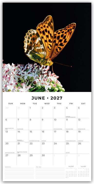 Produktbild: Butterflies &ndash; Schmetterlinge 2027 &ndash; 16-Monatskalender