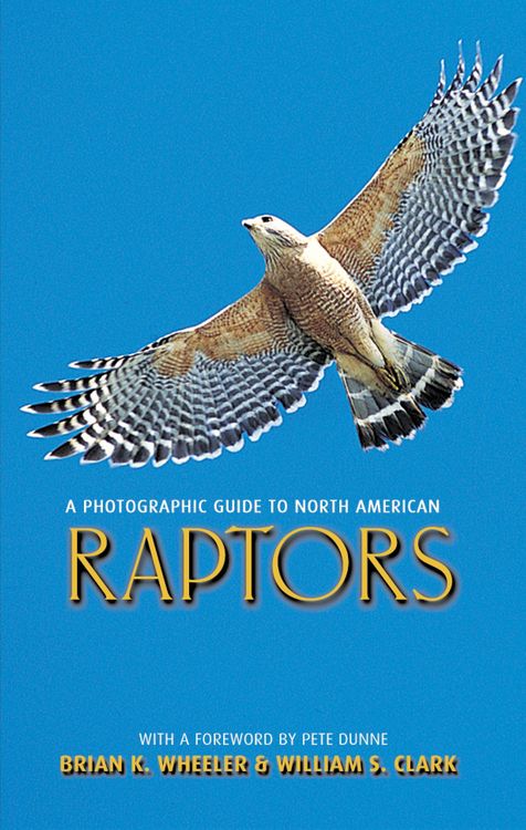 Produktbild: A Photographic Guide to North American Raptors