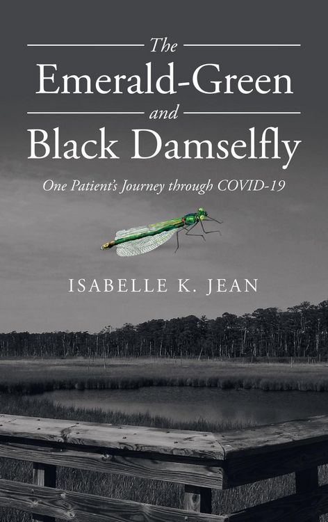 Produktbild: The Emerald-Green and Black Damselfly
