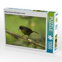 Produktbild: CALVENDO Puzzle Ru&szlig;gesichttangare (Mitrospingus cassinii) | 1000 Teile Lege-Gr&ouml;&szlig;e 64x48cm Foto-Puzzle f&uuml;r gl&uuml;ckliche Stunden