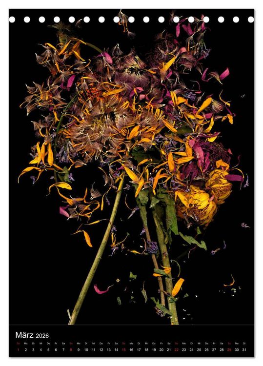 Produktbild: Blumen bei Nacht (Tischkalender 2026 DIN A5 hoch), CALVENDO Monatskalender
