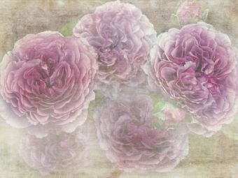 Produktbild: CALVENDO Puzzle Romantische Rosen - Shabby Chic Style | 1000 Teile Lege-Gr&ouml;&szlig;e 64x48cm Foto-Puzzle f&uuml;r gl&uuml;ckliche Stunden