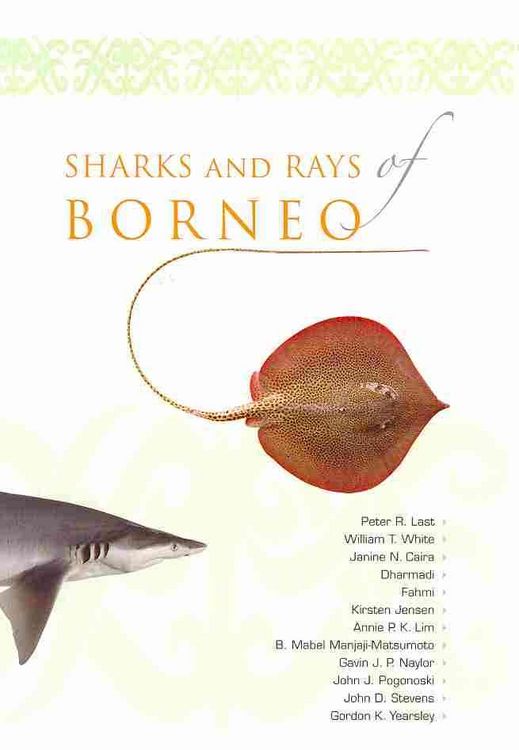 Produktbild: Sharks & Rays Of Borneo