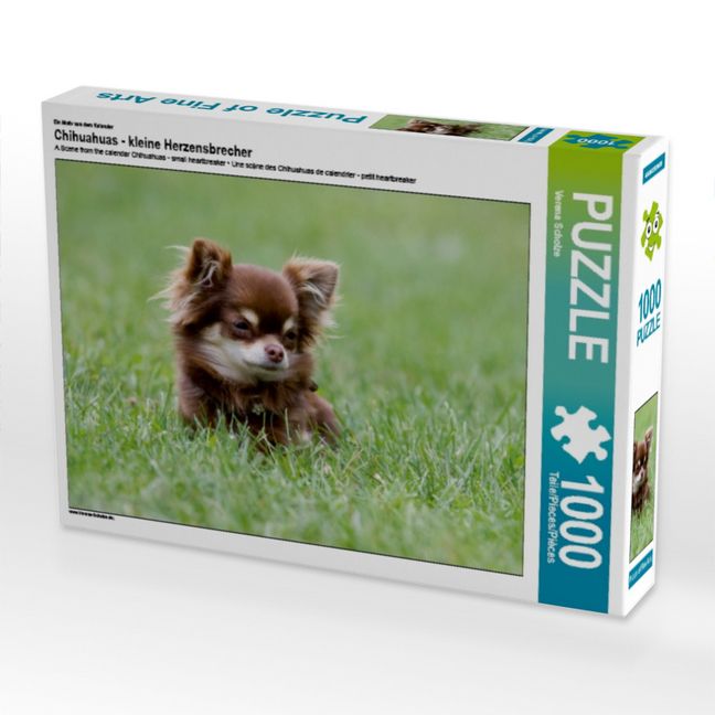CALVENDO Puzzle „Chihuahuas“ 1000 Teile – Premium-Foto-Puzzle, 64 X 48 Cm